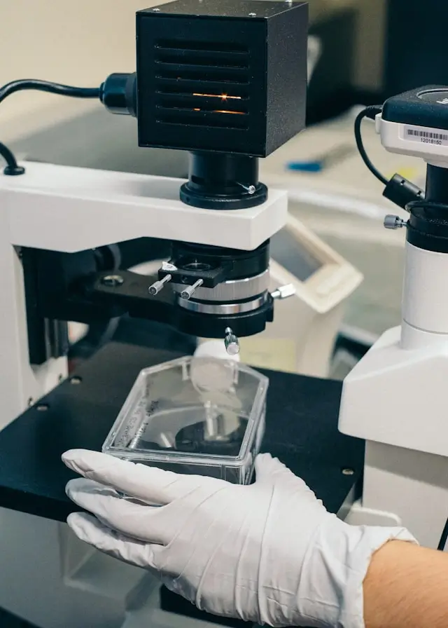 lab pic